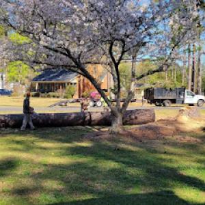 Woodward's Tree Service