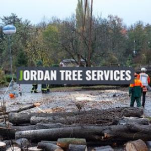 Jordan Tree Services