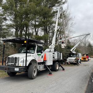 Walter Soto's Tree Service & Landscaping