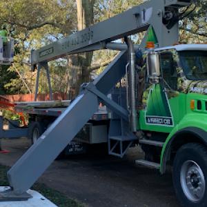 A Perfect Cut Tree Service