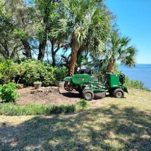Max Granger Stump Grinding