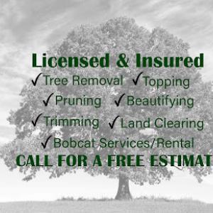 Always Fair Tree Care