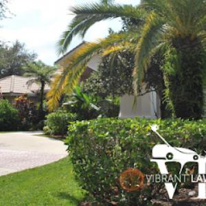 Vibrant Lawn Services