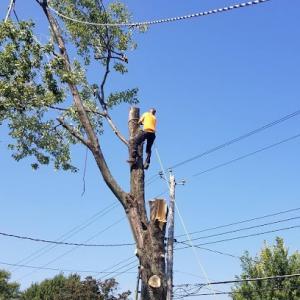 Wny General Contracting