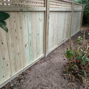 Double Or Nothing Lawnscapes