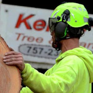 Kenny's Tree & Crane (KLJ Inc)