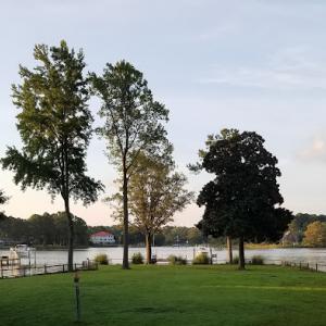 All Season Tree Service