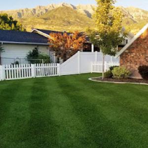 All Green Pest Control & Lawn Care