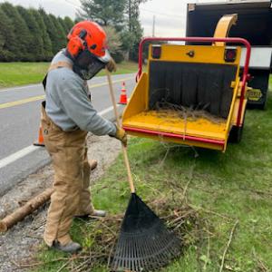 LIM 4 Him Tree Service