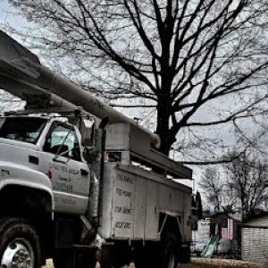 CS Kalb Tree & Landscape