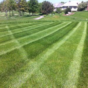 Dorado Lawn Seasonal Services