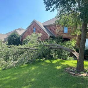 Stallworth's Tree Service Huntsville