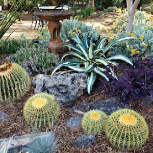 Schilling Horticulture Group