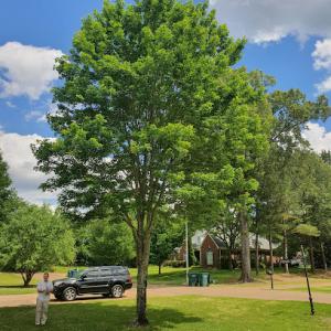 Hart Exterior Services