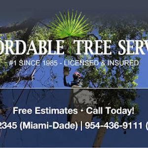 Affordable Tree Service, Inc. - Tree Service Miami-Dade & Broward