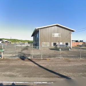 Big Island Tree Service