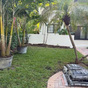 Alex Landscaping & Maintenance