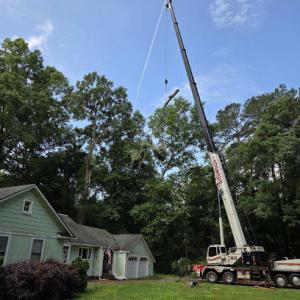 T&T Tree Service