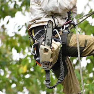 Tru Pro Tree Service