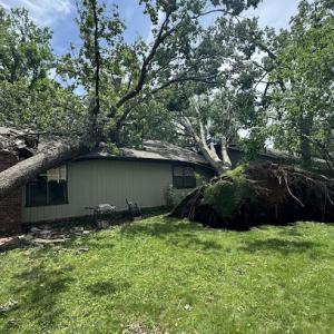 Urban Jacks Tree Service