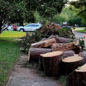 Nature's Restore