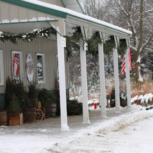 Leverty's Traditional Trees
