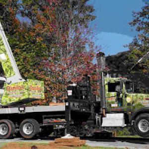Danilo's Professional Tree Service & Landscaping