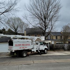 Allison Tree Service