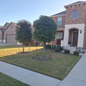 Miranda Lawn Services