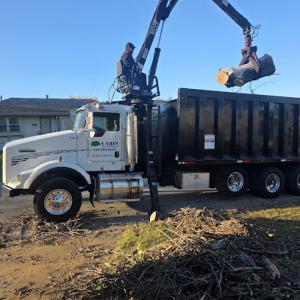 Larin Tree & Lawn Service