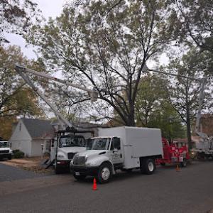 Ofilio Tree & Lawn Service