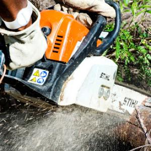 Dalton Tree Services