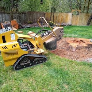 Mister Stump Grinder