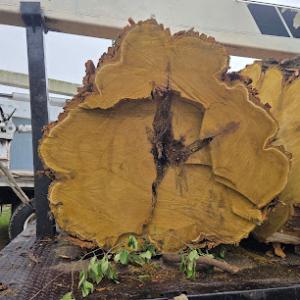 Ronnie's Tree & Landscape Service