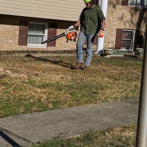 Terry's Tree Service