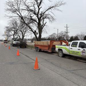 Outdoors Unlimited Tree Service