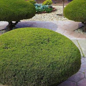 Bennett Landscaping & Lawn Care