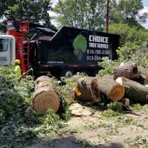 Choice Tree Service