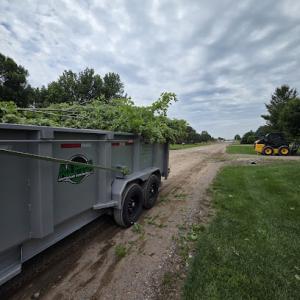 Alpha Outdoor Services