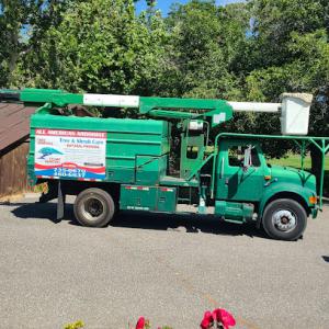 All American Arborist