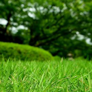 ANOTHER HAND Lawn & Ranch Services