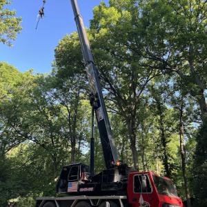 Fonville Tree Service