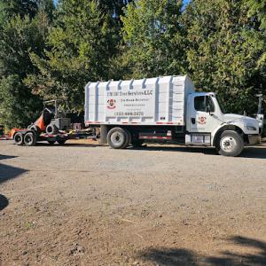 I'M IN Tree Services
