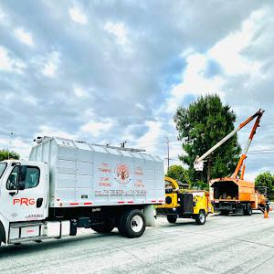 PRG Tree Care