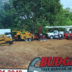 Budget Tree Service