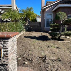 BG Tree Service & Landscape