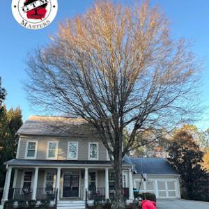 Georgia Tree Masters