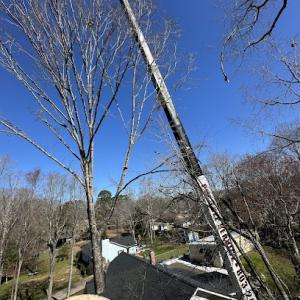 PW Tree Service