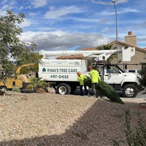 Ryans Tree Care