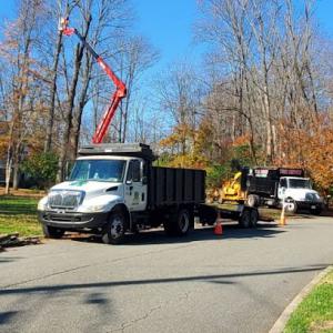 Green Point Tree Services